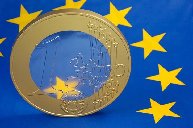 Kredyty denominowane w euro wzrosły z 9,2 procent do 20,2 procent /&copy; Panthermedia