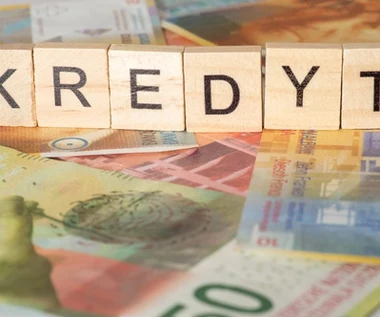 Kredyty we frankach: Wyrok TSUE rozgrzewa frankowiczów do czerwoności 
