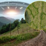 Kręgi wykonało UFO? Zagadkowe zjawisko na polach pod Szczebrzeszynem 