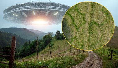 Kręgi wykonało UFO? Zagadkowe zjawisko na polach pod Szczebrzeszynem 