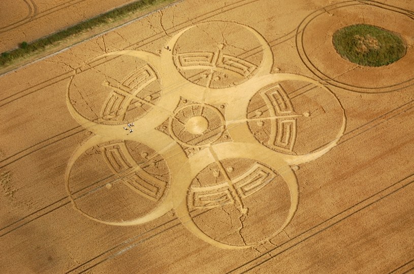 Kręgi zbożowe (zwane także piktogramami) powstają co roku na polach Wielkiej Brytanii. /123RF/PICSEL