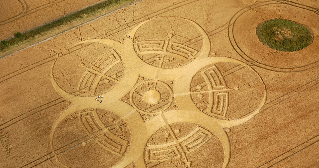 Kręgi zbożowe (zwane także piktogramami) powstają co roku na polach Wielkiej Brytanii. /123RF/PICSEL
