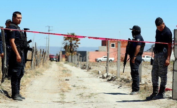 Krematoria, groby i ludzkie kości. Miejsce kaźni odkryte w Meksyku