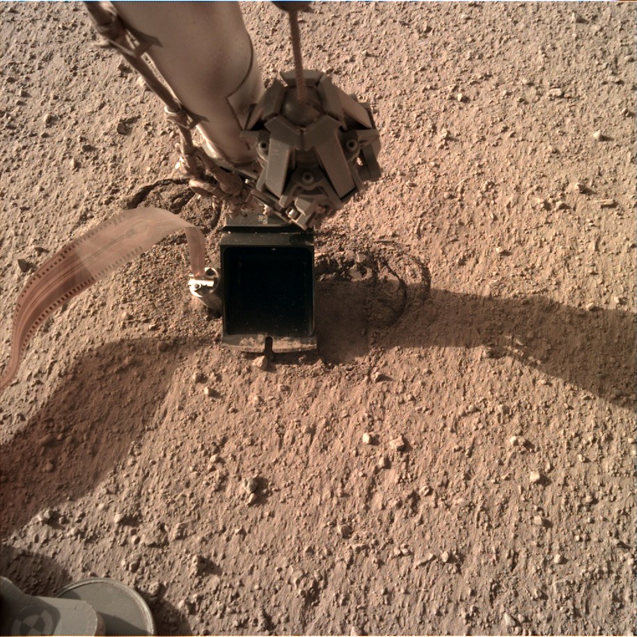 Kret z łopatką, 17 października 2019 roku /Materiały prasowe