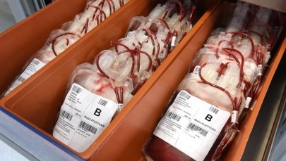 Krew młodych kochanków odmładza. Albo nie...