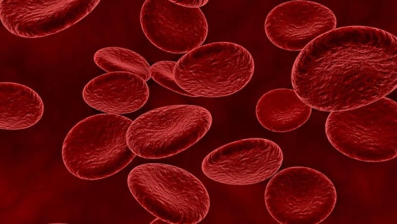 Krew ratuje życie /123RF/PICSEL