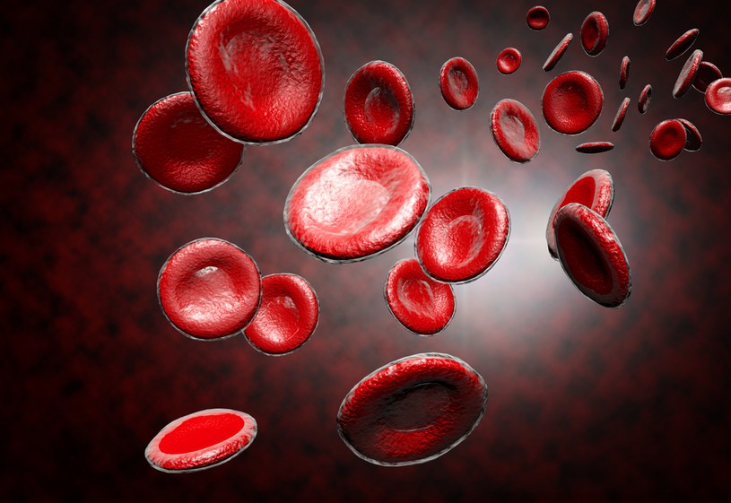 Krew wyhodowana z komórek macierzystych może uratować wielu ludzi /123RF/PICSEL