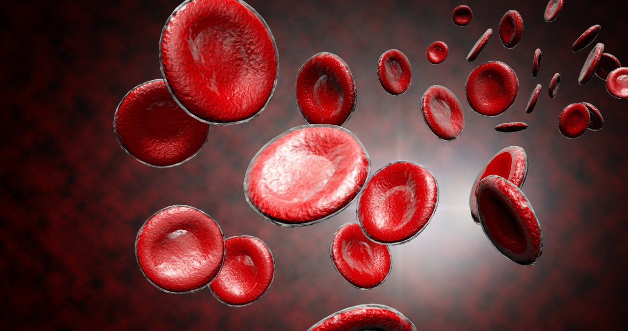 Krew wyhodowana z komórek macierzystych może uratować wielu ludzi /123RF/PICSEL