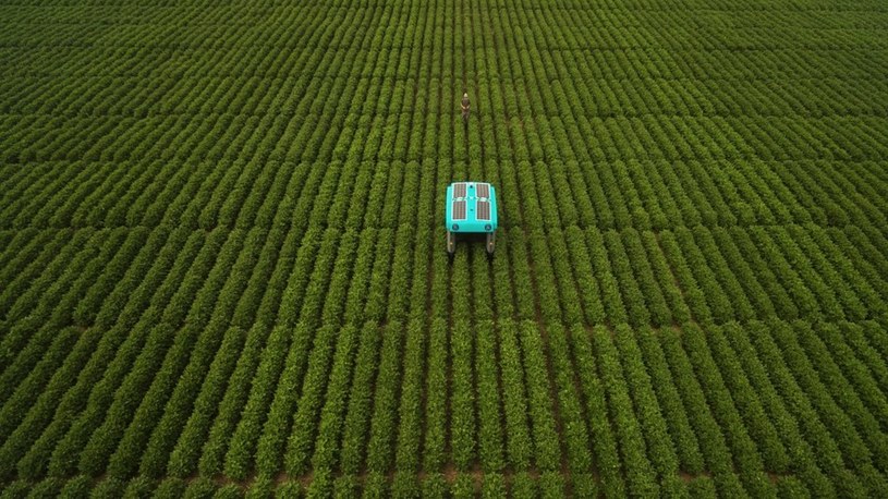 Krok w stronę zrównoważonego rolnictwa. Oto autonomiczny pojazd do kontroli roślin /Geekweek