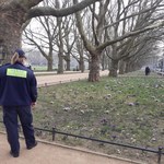 Krokusowe patrole pilnują, by nie deptać kwiatów w Szczecinie