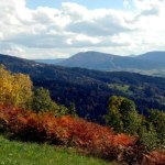 Krokusy, puste szlaki i piękne widoki. Alternatywa dla zatłoczonych Tatr