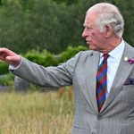 Król Karol III szuka zarządcy ogrodów. Wysokie wymagania, a pensja…?
