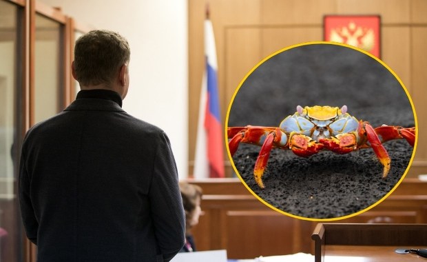"Król krabów" skazany. Obrona przekonuje, że od dwóch lat nie żyje