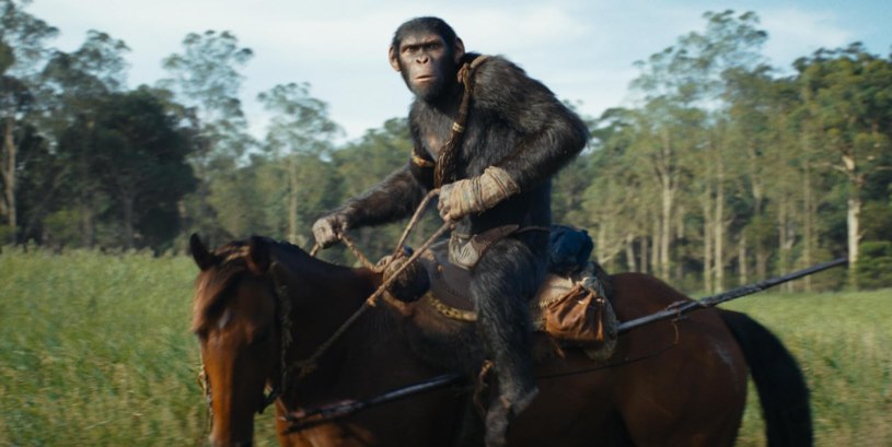 "Królestwo Planety Małp": Zaledwie poprawnie zrealizowana opowieść