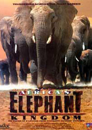 Królestwo słoni - IMAX