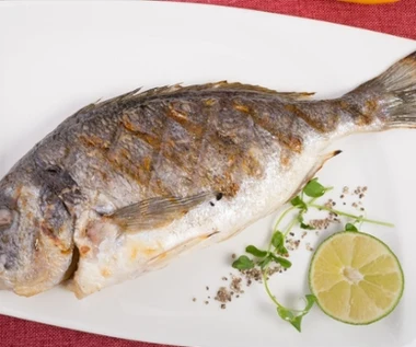 Królewska ryba na wigilijny stół, karp przy niej wypada słabo. Jest bardzo smaczna i prawie nie ma ości  