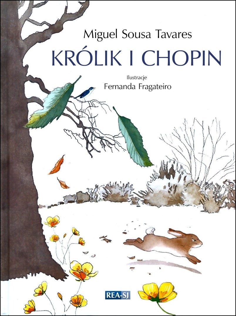 "Królik i Chopin" Miguela Sousa Taveresa to opowieść, w której królik odkrywając świat flory i fauny, poznaje muzykę /materiały prasowe