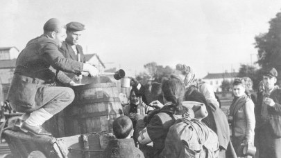 Królik w śmietanie czyli kot na olejku do opalania