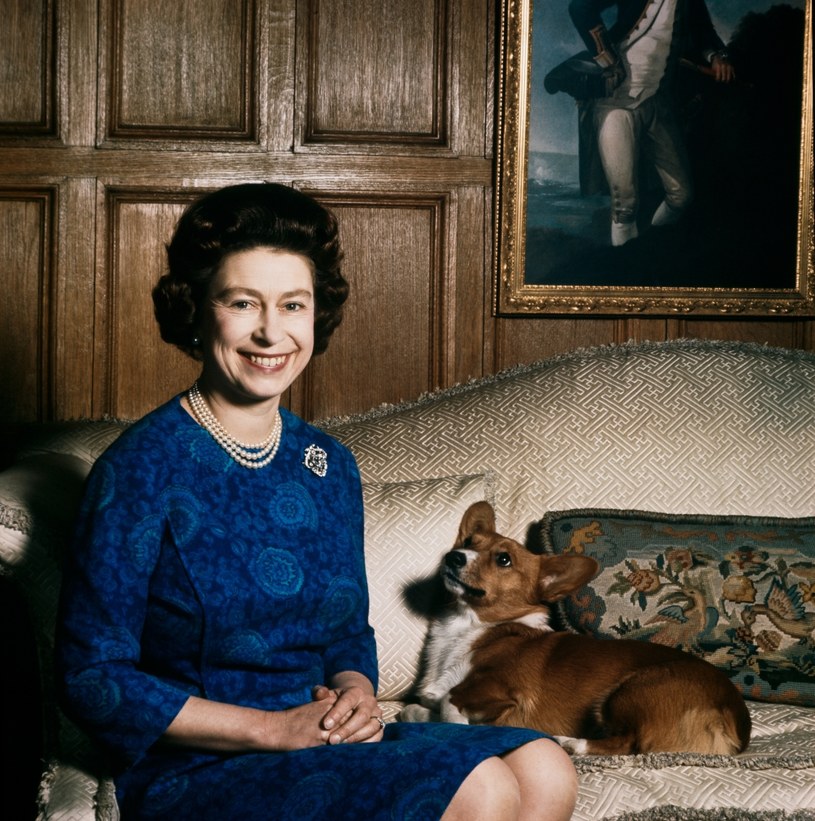 Królowa Elżbieta II była miłośniczką psów /Fox Photos/Hulton Archive/Getty Images /Getty Images