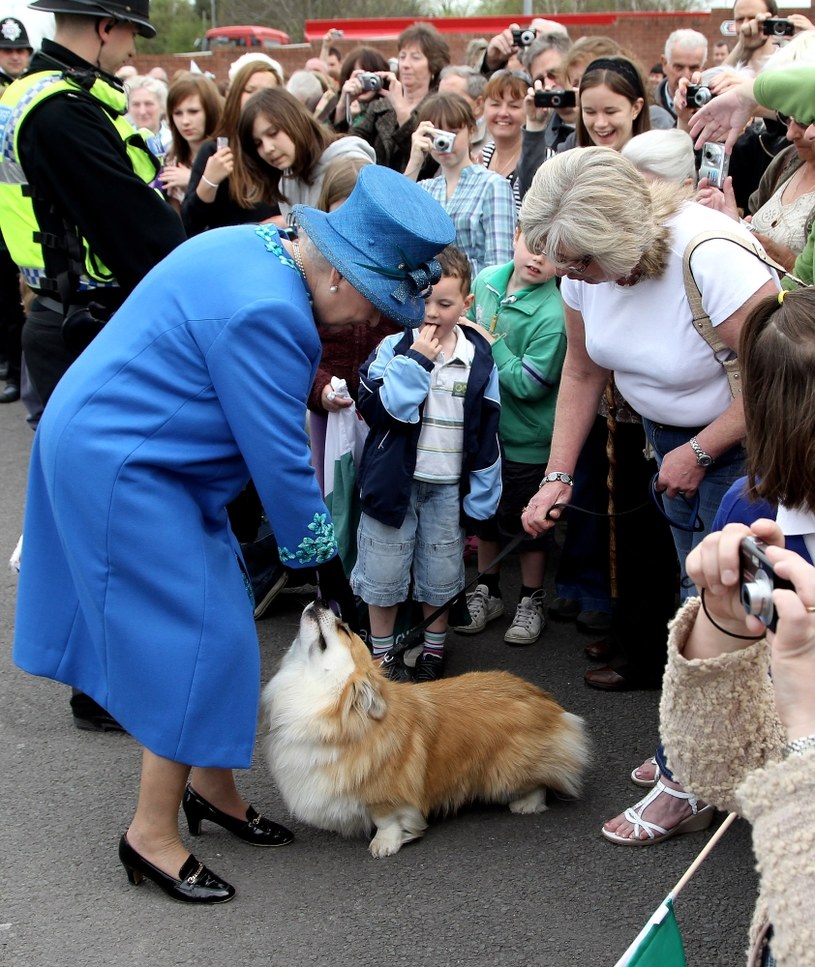 Królowa Elżbieta II witała się ze zwierzętami / Chris Jackson/Getty Images /Getty Images