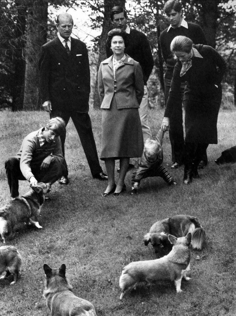 Królowa Elżbieta II z psami w 1978 r. /Allstar/FD/Mary Evans Picture Library /East News