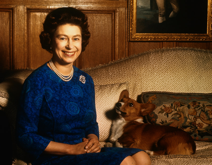Królowa Elżbieta II z ukochanym pupilem / Bettmann / Contributor /Getty Images