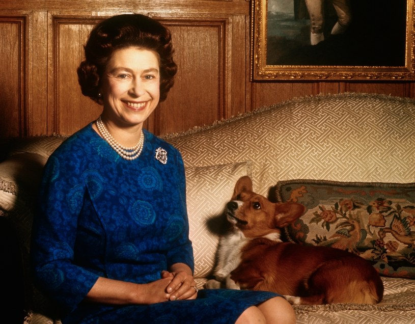 Królowa Elżbieta II / Bettmann / Contributor /Getty Images