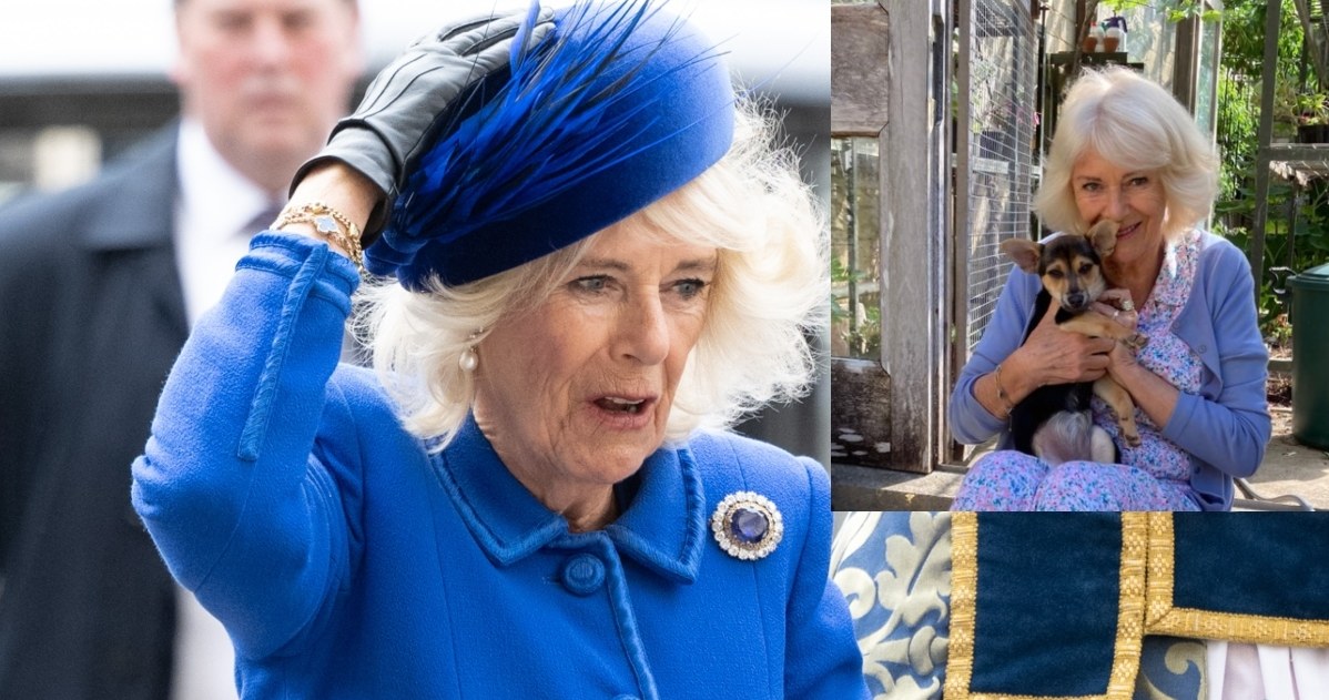 Królowa małżonka Camilla /Getty Images