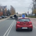 Krosno. Podczas egzaminu na prawo jazdy spotkał myśliwiec