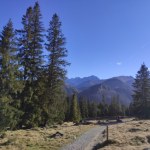 szlaki turystyczne Krótki szlak z widokiem na Tatry. Idealny na jednodniowy wypad