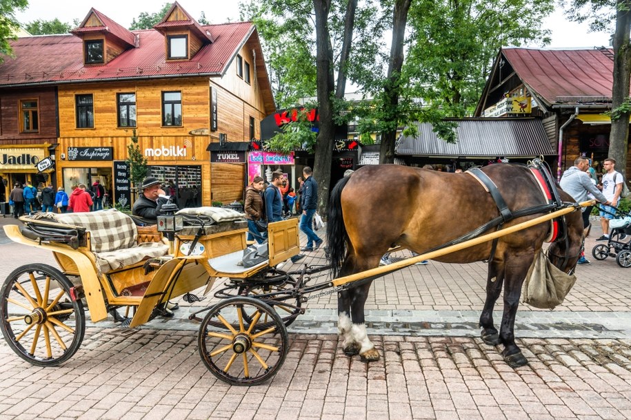 Zakopane: Początek wakacji - bez tłumów. Przedsiębiorcy zaniepokojeni