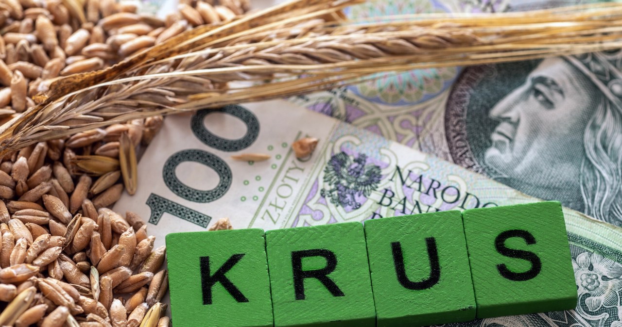 KRUS płaci mniej niż ZUS. Tyle rolnik dostaje na starość. /ARKADIUSZ ZIOLEK /East News