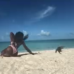 Krwawy finał relaksu na plaży! Atak iguany na trenerkę jogi 