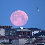 zjawisko Krwawy Księżyc: Spektakularne zaćmienie widoczne na niebie