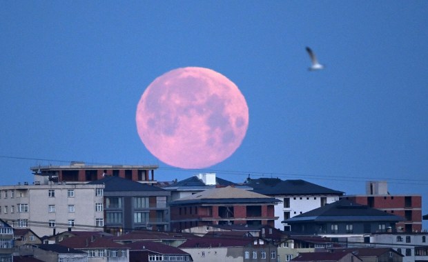 Krwawy Księżyc: Spektakularne zaćmienie widoczne na niebie