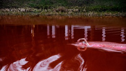 "Krwawy staw" jako symbol rosyjskich zbrodni. Happening w Wilnie