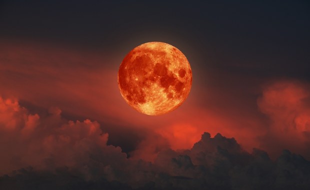 "Krwawy superksiężyc" już wkrótce na niebie. Czy zobaczymy go w Polsce?