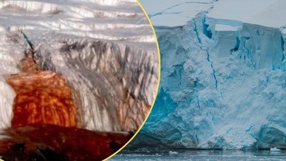 Krwawy wodospad Antarktydy. Naukowcy rozwiązali tajemnicę upiornego zjawiska