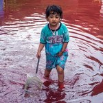 Krwista rzeka nawiedziła Indonezję