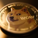 Kryptowalutowa hossa dogecoina? Trump i Musk podbili cenę "pieseła"