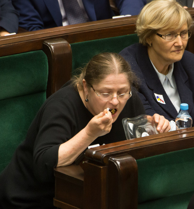 Krystyna Pawłowicz w Sejmie /Agencja FORUM
