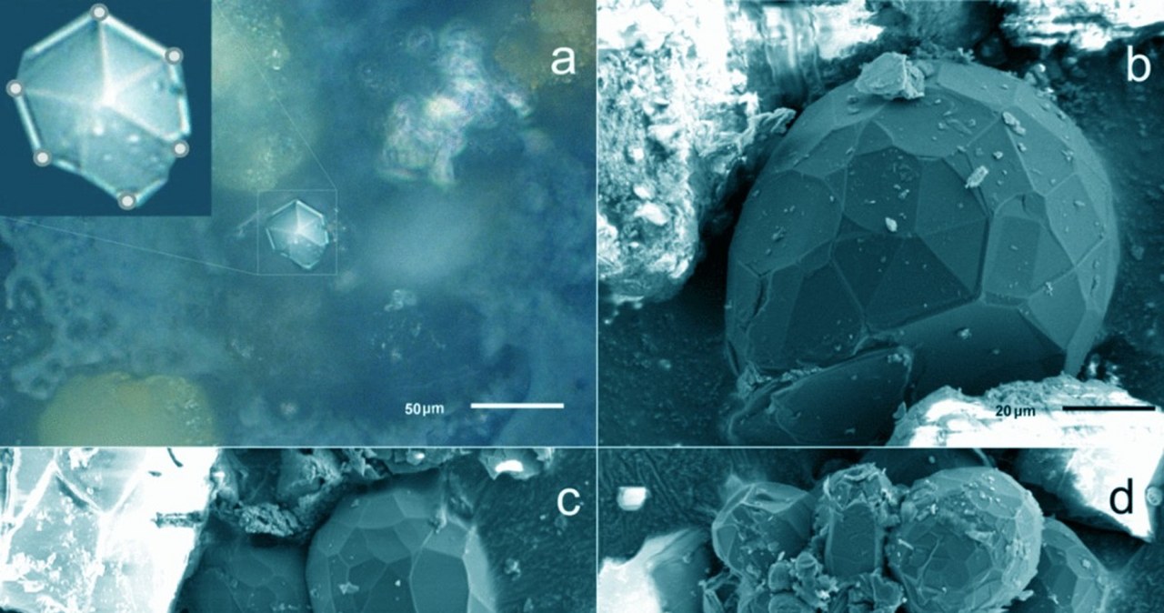 Kryształy odkryte w meteorycie czelabińskim /Taskaev et al. /materiały prasowe