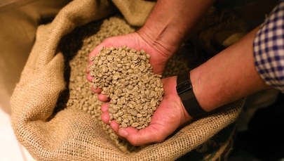 Kryzys kawowy w Brazylii. Czy czekają nas znaczne podwyżki cen?