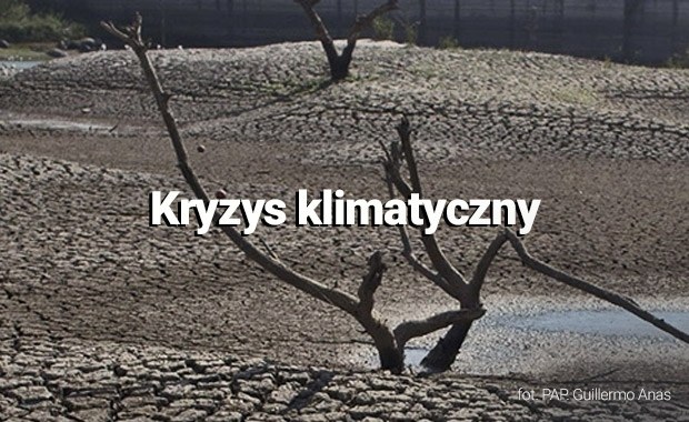 Kryzys klimatyczny