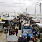 Kryzys migracyjny. Państwa UE tną świadczenia socjalne