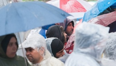 Kryzys migracyjny: Policjanci w Niemczech chcą… płotu wzdłuż granicy