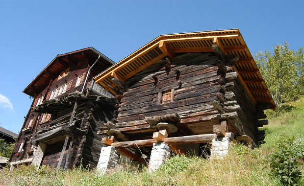 Kryzysy i sukcesy Europy w drewnie zapisane