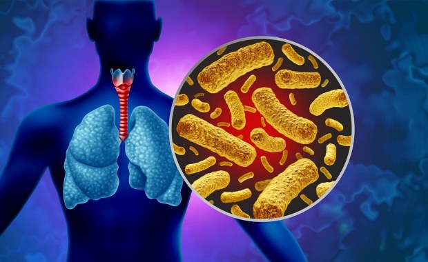 ​Krztusiec atakuje. Lawinowy wzrost zachorowań w Polsce i Hiszpani