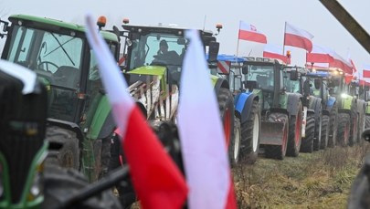 "Krzyk ludzi, którzy zostali pominięci". Rolnicy protestują przeciwko umowie z Mercosur