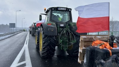 "Krzyk ludzi, którzy zostali pominięci". Rolnicy protestują przeciwko umowie z Mercosur